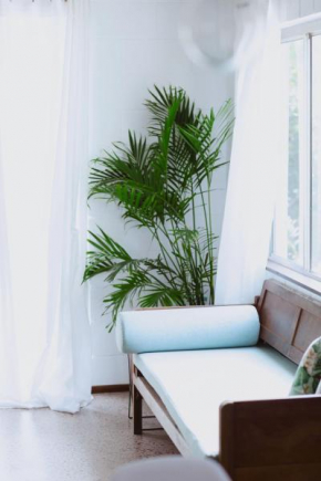 Newly renovated 1970s house Dog and kid friendly, Marcoola